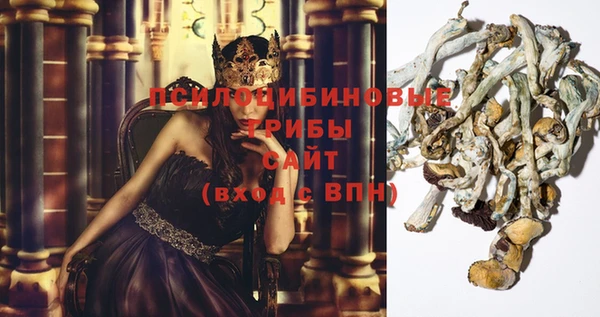 spice Алзамай