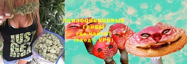 каннабис Алексеевка